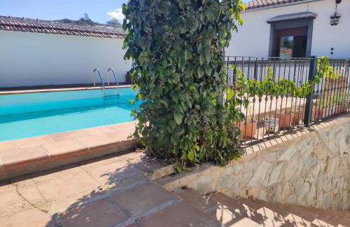 Chalet Rafael Constantina - Photo 18