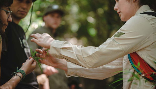 Tepuhueico Park Ticket - Foto 5