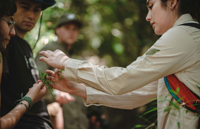 Tepuhueico Park Ticket - Foto 8