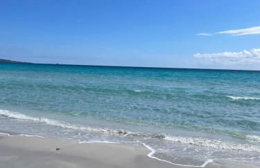 Wiki's Place - Foto 39