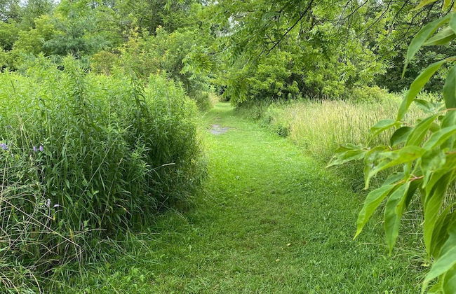 Brand New Basement Apt next to Beach & Go Train - Foto 33