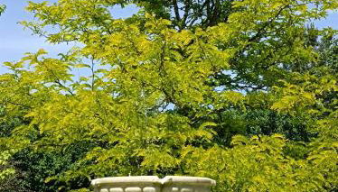 Appartement, classé 3 étoiles tout confort, piscine en saison, au calme pour un couple - Foto 5, Garden view