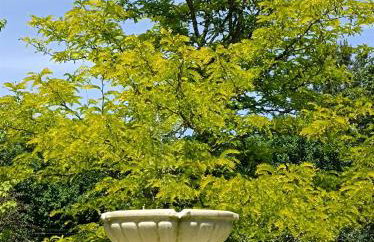 Appartement, classé 3 étoiles tout confort, piscine en saison, au calme pour un couple - Foto 5