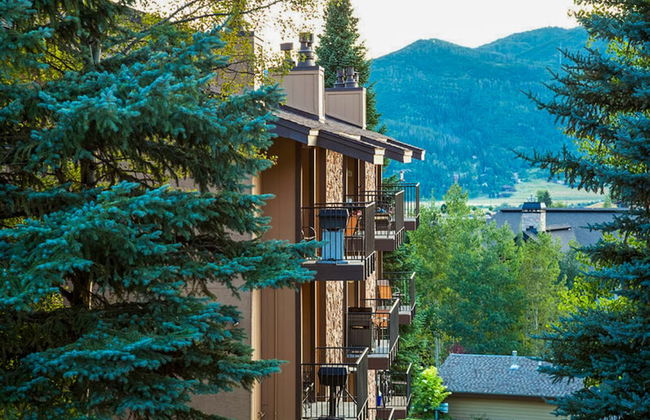 Ski Inn Condos - Foto 50