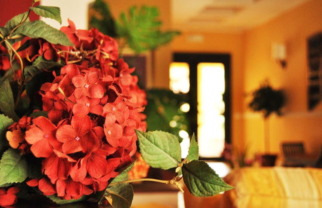 Greta Rooms Hotel - Photo 42