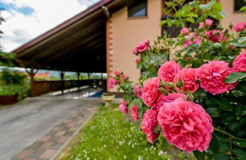 Kuća za odmor Mateja Varaždinske Toplice - Foto 48