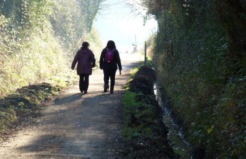 11 Bed in Instow REDLA - Foto 63