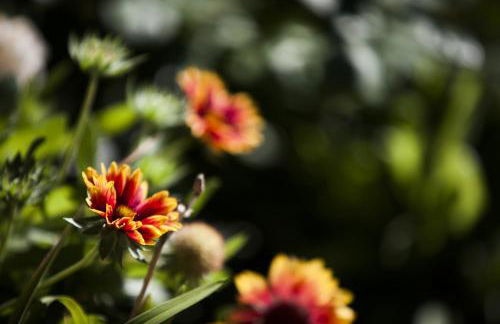 Chalet Yolo - Chalet Retreat in Central Chamonix Steam Room - Foto 43