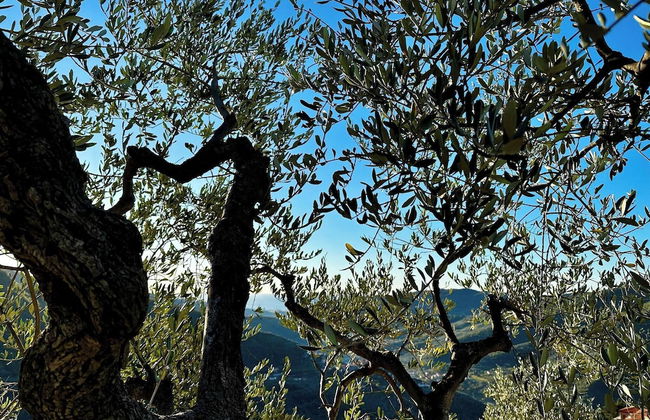 Panoramic Townhouse Casa del Borgo - Photo 34