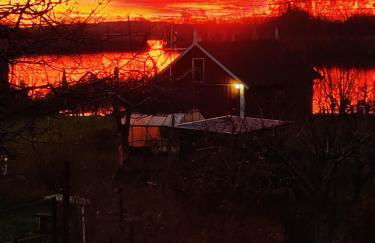 Müritzblick am Wünnow - Foto 4