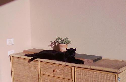 La Graziosa Dépendance - Photo 14