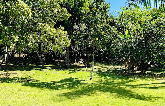 Dawsons Hideaway - Foto 56