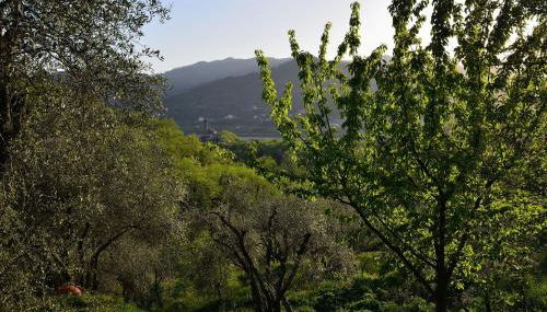 Luce Stellata - Foto 2