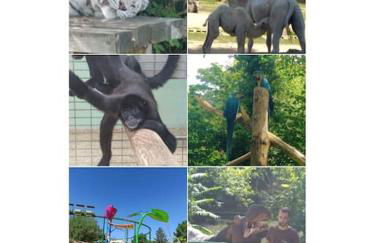 Gîte la tourterelle - Foto 72