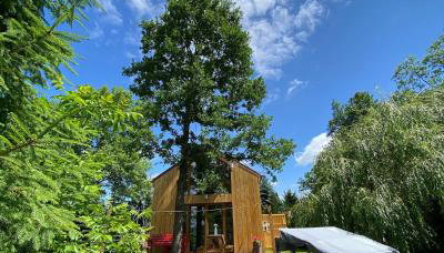 Physio House Sokolik - Foto 2
