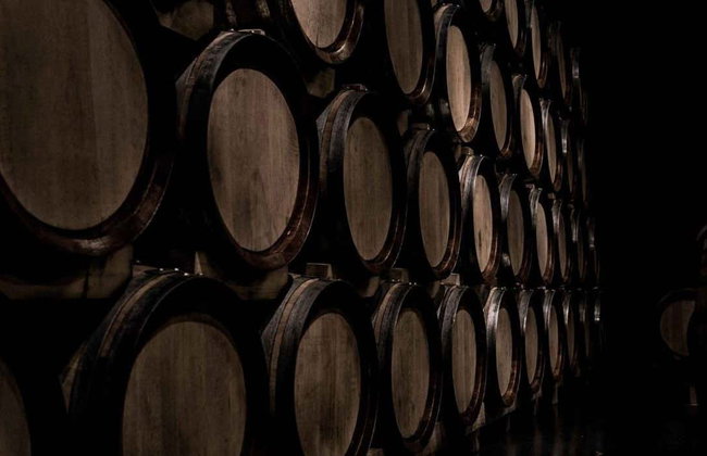 Visita a las bodegas Alútiz - Foto 1