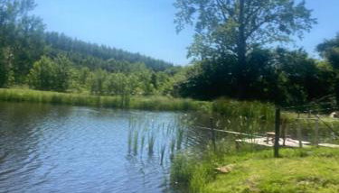 Rancho „Czajone na pigwowcu” - Foto 1