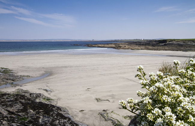 Matthews Traditional Holiday Cottage - Foto 26