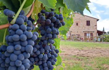 I Vigneti del Chianti - Foto 52