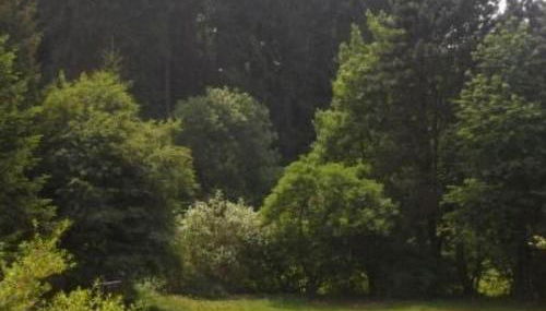 Holiday Home in Kuhklingen mit Großer Terrasse by Interhome - Foto 2