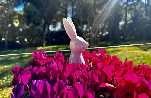 Villa by the Sea and Pool - Foto 21