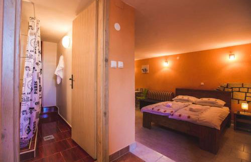 Šanić Apartments 518 - Photo 46