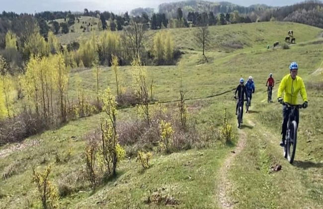 "Eva" - 1.5km to the fjord - Foto 6
