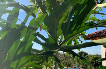 Casa Savana - Foto 50