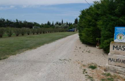 MAS MAURANE-Le Platane avec SPA privé aux portes d'ARLES - Foto 34