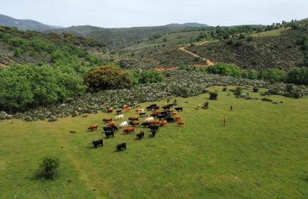 Refugios Del Valle Negro - Foto 63
