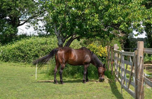 Gîtes Ker Mané - Foto 47