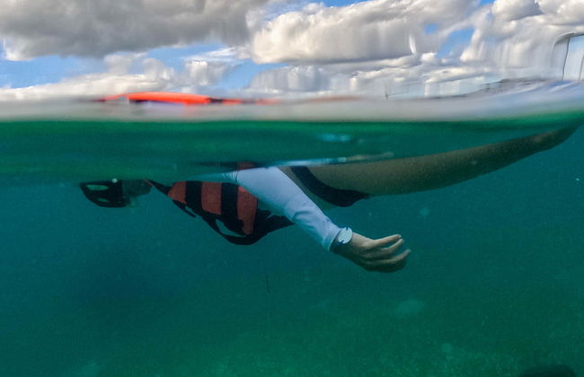 Snorkel em Puerto Morelos - Foto 1
