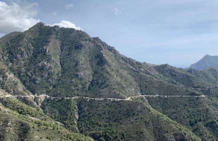 FINCA EL ALMENDRO - Foto 33