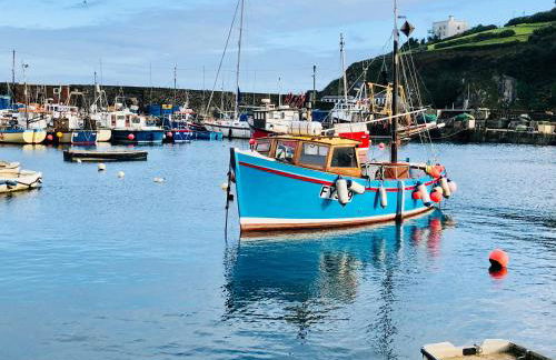 Mevagissey Holiday Home - sea View and Parking - Foto 103