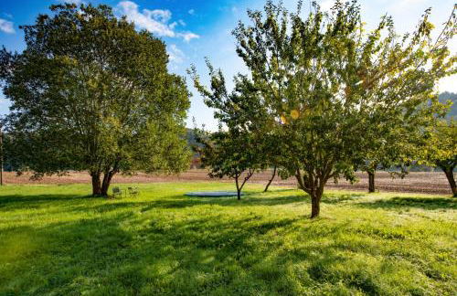 Traumhaftes Gästehaus an Elberadweg und Bastei - Foto 6