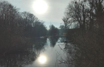 70qm Wohnung, 76771 Hördt, Naturschutzgebiet, Rheinland-Pfalz - Foto 18