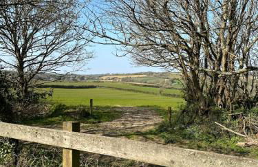 The Old Piggery, countryside barn with hot tub - Foto 37