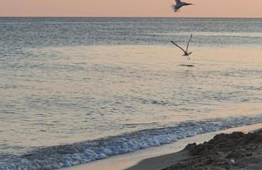 MAGIA Salento - Foto 44