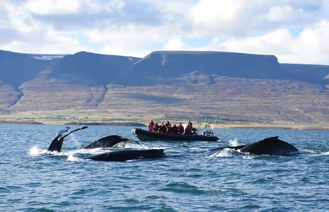 Saga Apartments - Foto 35