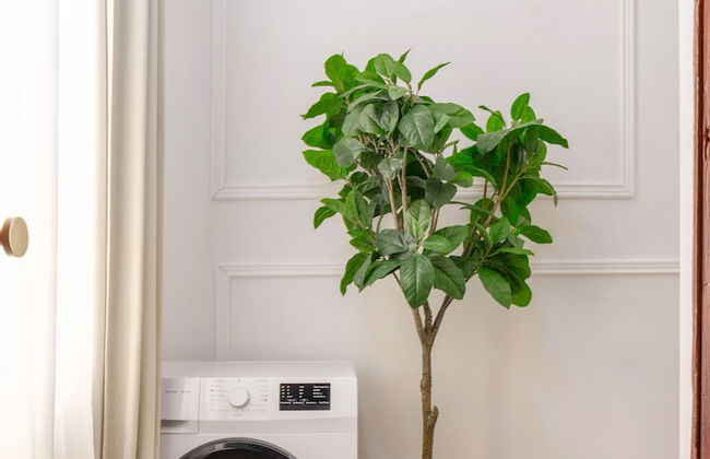 Designer Apartments - Near Schönbrunn - Foto 50