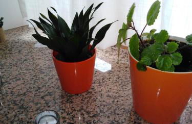 Casa Rural Aguas Frias - Foto 68