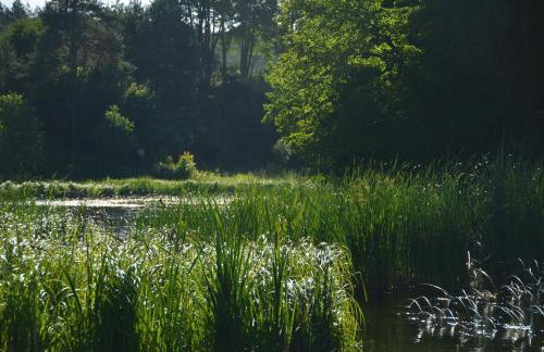 Zakole Czarnej Hańczy - Foto 72