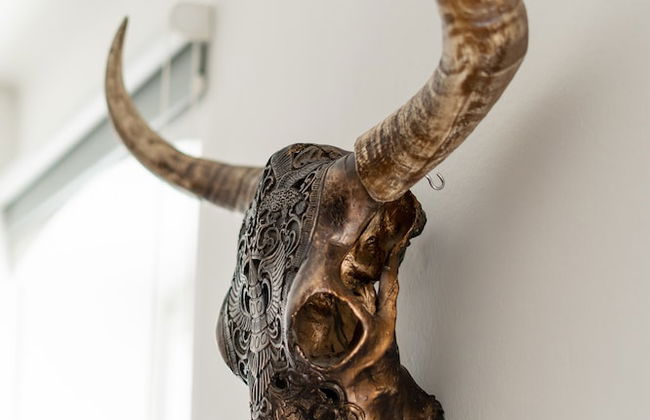 Kaiser Max Design Appartements - Foto 58