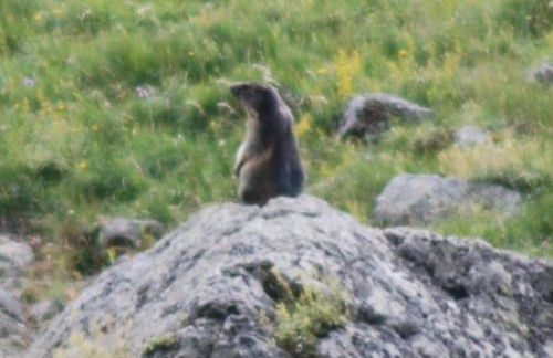 les Gites de l’E.D.E. - Photo 28