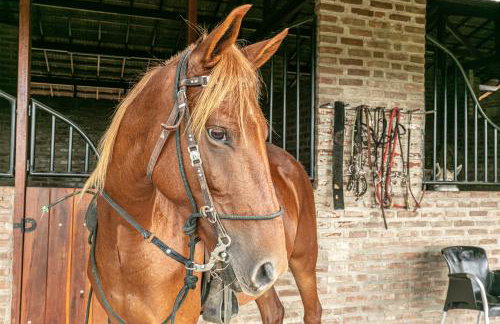 Eco Resort Pedra Bonita - Foto 58