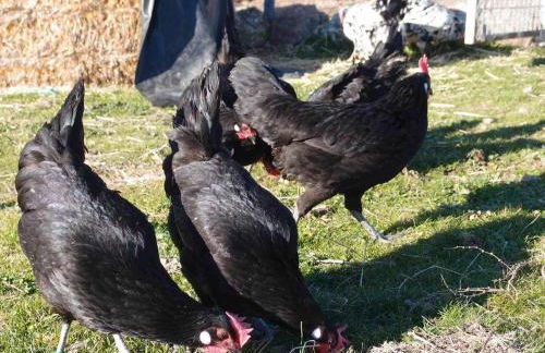 Agroturismo El Mirador de la Cigüeña - Foto 54