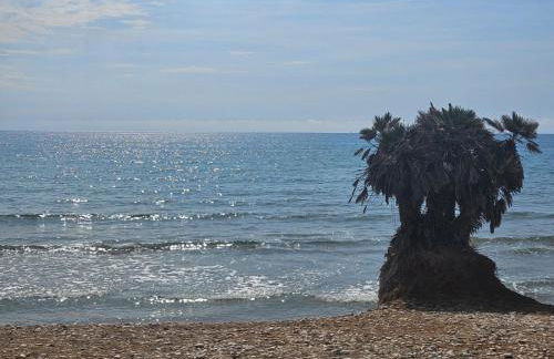 Mondrian Magic World - sea view first line of the beach - Photo 44