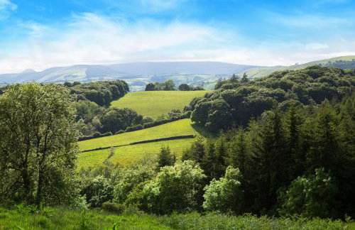 Blacksmiths Cottage - Photo 19