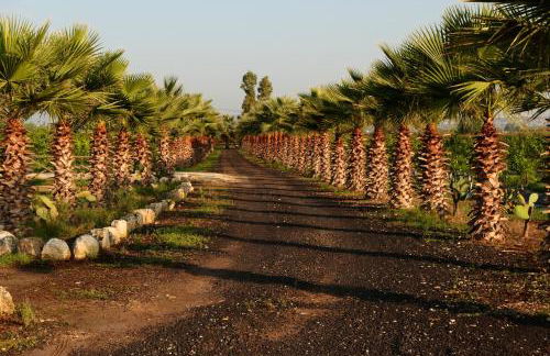 Agriturismo Papyrus - Photo 32