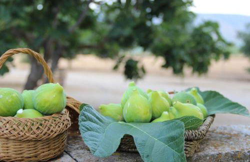 Casa del Riu - Foto 22